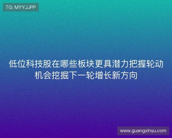 低位科技股在哪些板块更具潜力把握轮动机会挖掘下一轮增长新方向
